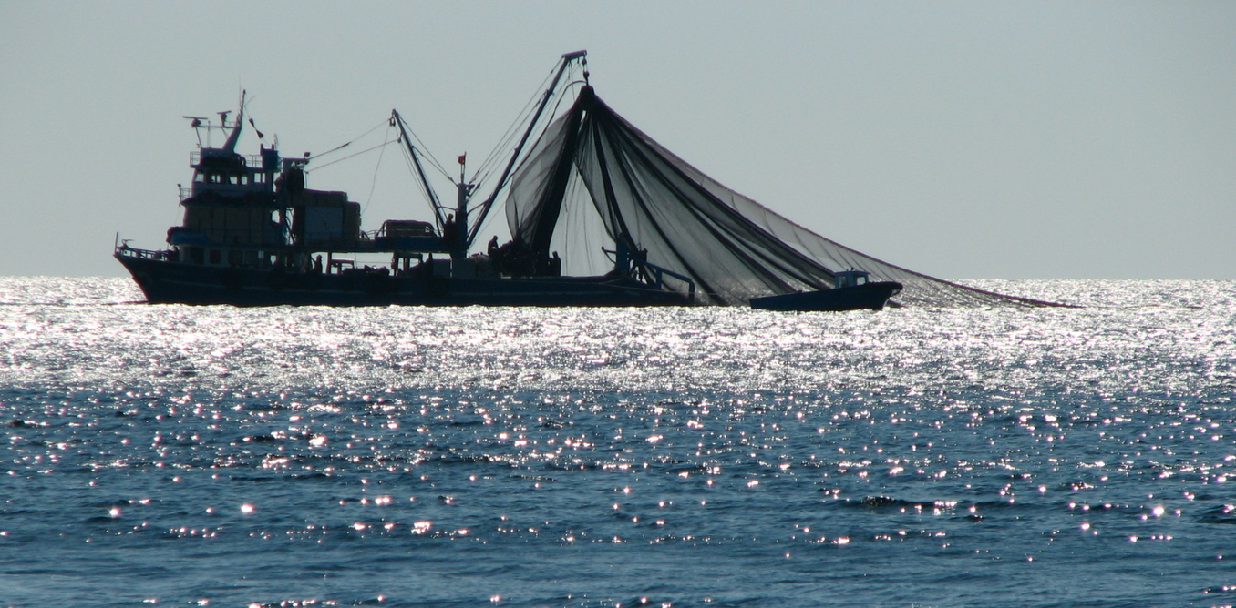 Комерційний риболовний промисел займає більше площі Землі, ніж сільське господарство (ІНФОГРАФІКА)