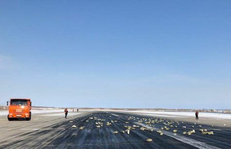 В Якутії збирають золоті злитки, які випали під час зльоту літака (ФОТО)