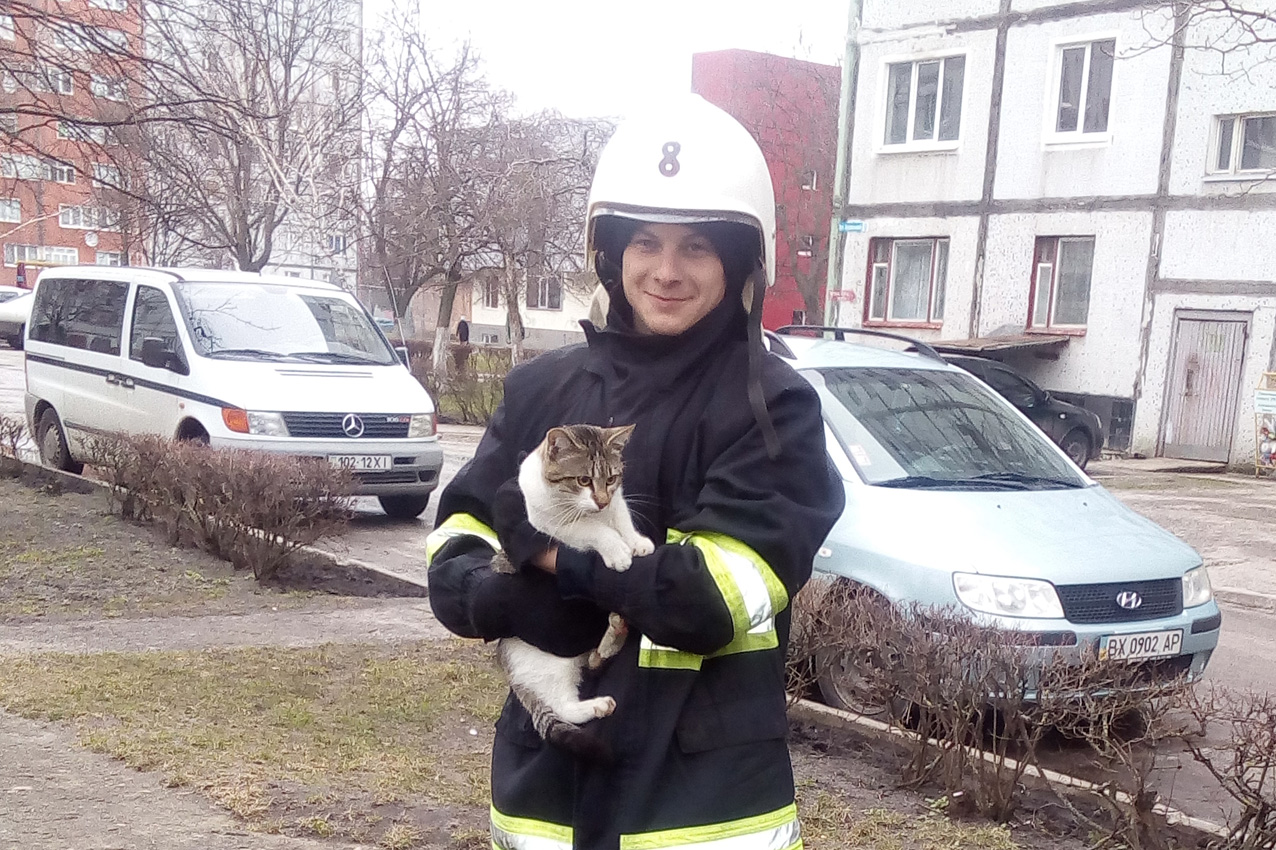 На Хмельниччині викликали рятівників через кота на дереві(ФОТО)