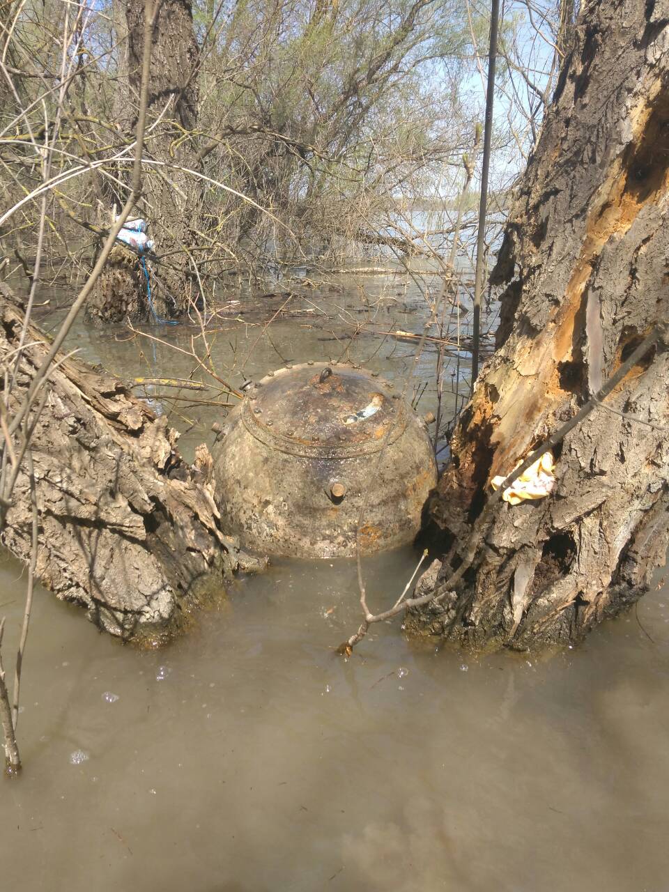 Одещина: в акваторії Дунаю знайшли і знищили майже 100-річну міну (ФОТО)