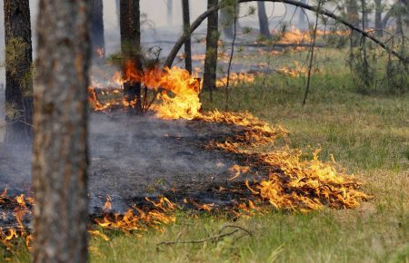 Синоптики попереджають про найвищий рівень пожежної небезпеки в Україні