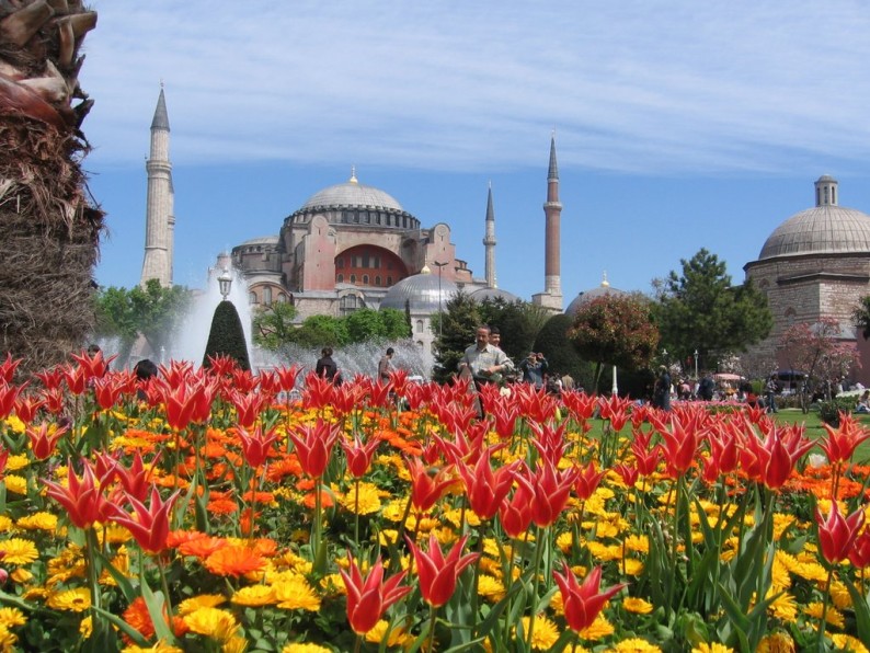 У Стамбулі зацвіли тисячі тюльпанів (ВІДЕО)
