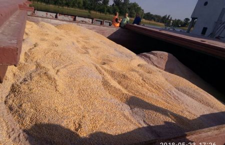 Із України хотіли вивезти понад 7 тисяч тонн кукурудзи, - ДФС