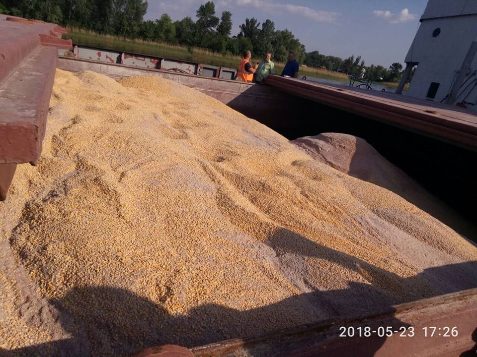 Із України хотіли вивезти понад 7 тисяч тонн кукурудзи, - ДФС
