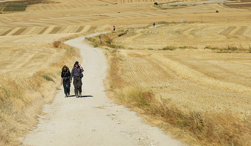 Паломництво у ХХІ столітті: навіщо письменниця Дзвінка Матіаш пройшла пішки 900 км Дорогою Святого Якова?