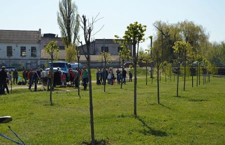 У Кропивницькому радіація та пил зі степу, тому проблема озеленення є гострішою, ніж у інших містах - активістка