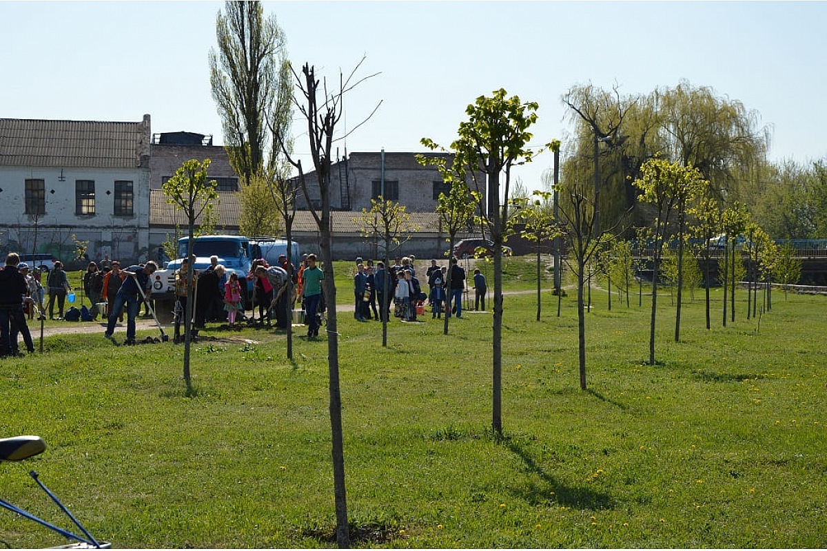 У Кропивницькому радіація та пил зі степу, тому проблема озеленення є гострішою, ніж у інших містах - активістка