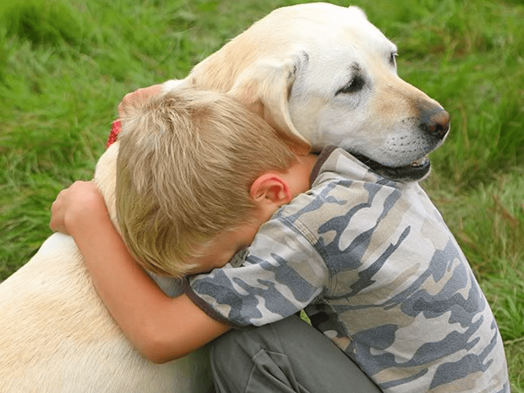 Як пережити смерть собаки та відважитися завести цуценя (ФОТО)