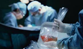 Трансплантація. Наскільки українці готові давати згоду на донорство своїх органів після смерті?