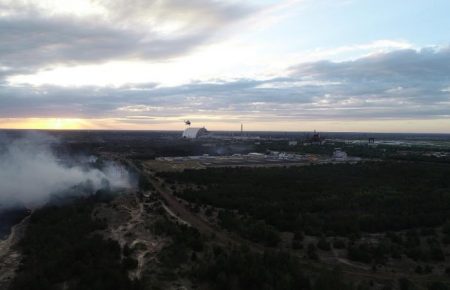 Пожежа в Чорнобильській зоні: ДСНС не виключає підпал