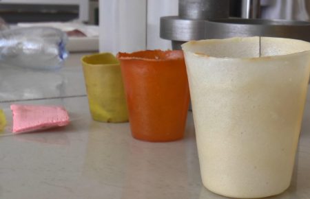 В Сумах молоді науковці винайшли еко-посуд (ФОТО)