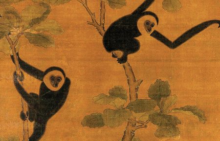 У китайській гробиниці знайшли рештки вимерлого виду гібона (ФОТО)