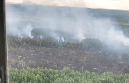 Пожежа у Чорнобильській зоні: продовжують горіти 5 га трави (ФОТО)
