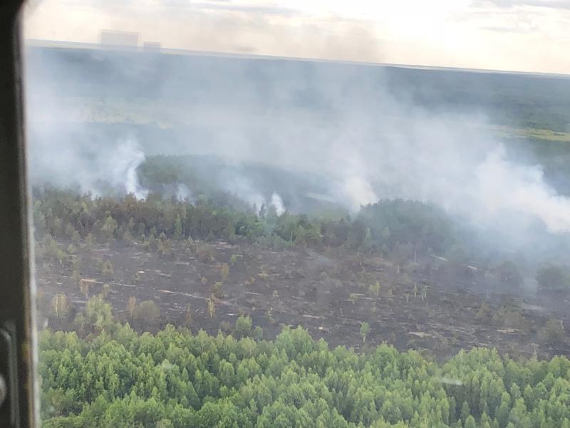 Пожежа у Чорнобильській зоні: продовжують горіти 5 га трави (ФОТО)