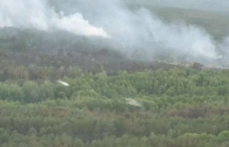 Пожежа у Чорнобильській зоні: версія підпалу не підтвердилася, - ДСНС