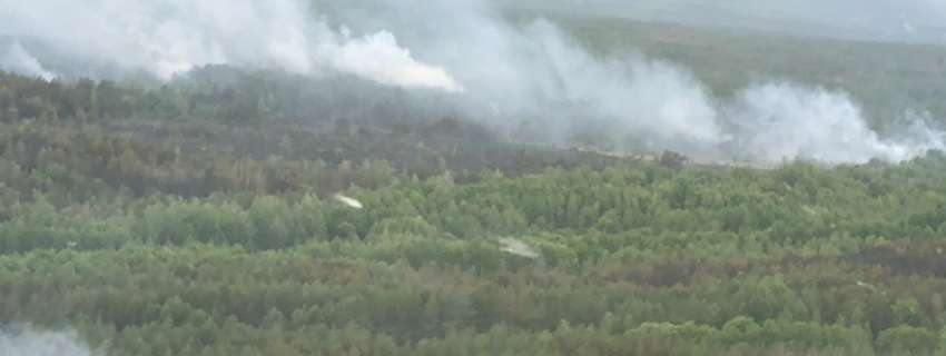Пожежа у Чорнобильській зоні: версія підпалу не підтвердилася, - ДСНС