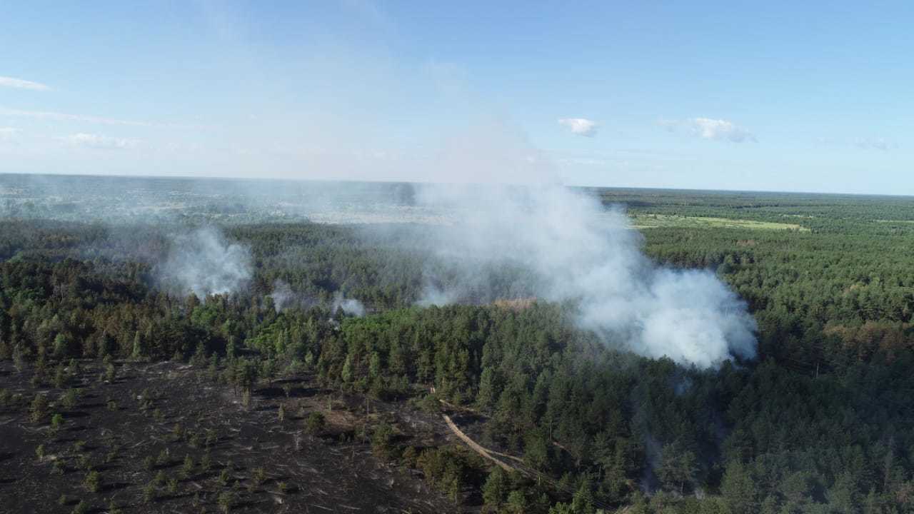 Пожежа у Чорнобилі спалахнула на території, яка не належить до заповідної зони, - директор заповідника