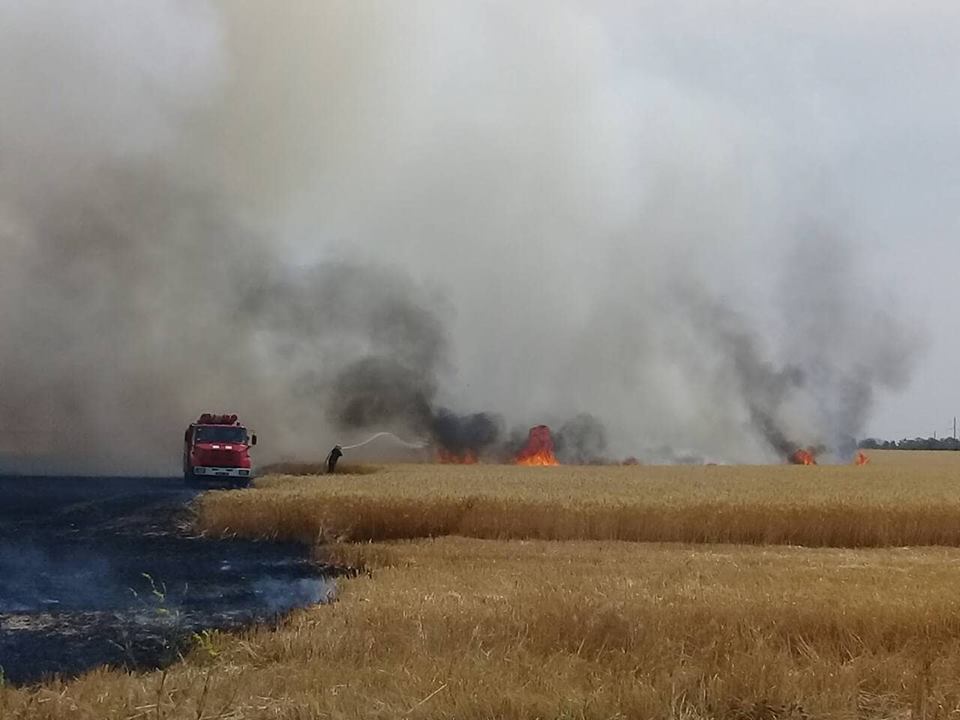 Пожежа знищила 4,5 гектарів пшениці в Миколаївській області
