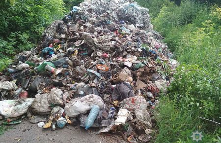 3400 грн штрафу за 12 тонн сміття: чоловік розвантажив сміття посеред села на Чернігівщині