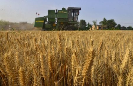 Українські аграрії щорічно просять ЄС про збільшення квот на експорт своєї продукції в Європу — аналітикиня