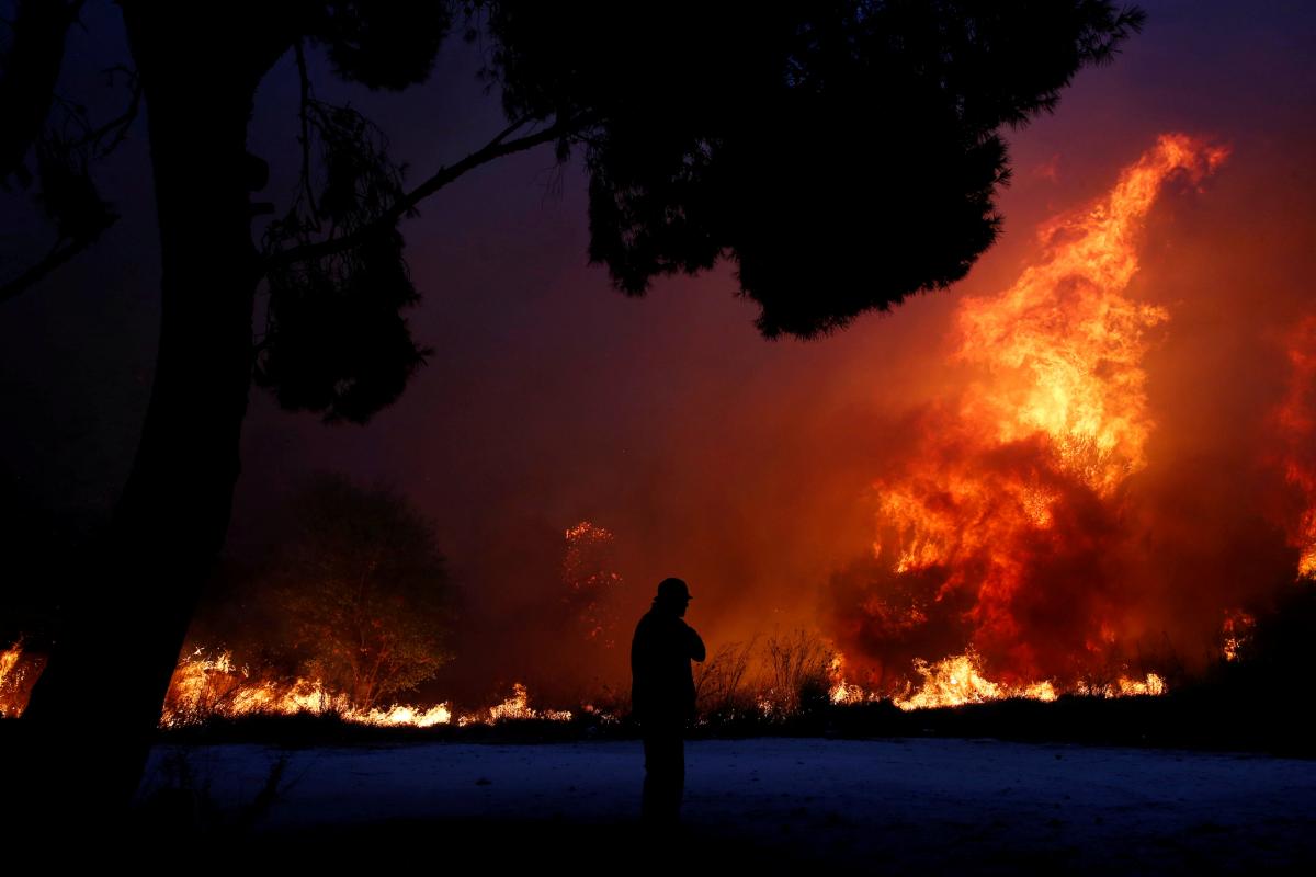 Кількість загиблих від лісових пожеж у Греції зросла до 91