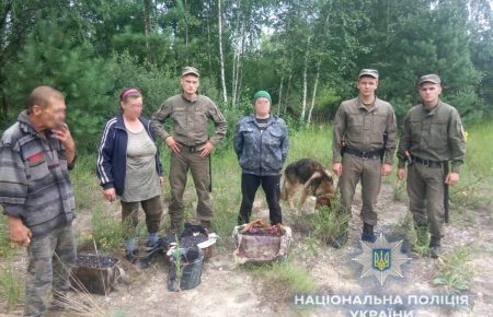 Поліція затримала збирачів чорниць у Чорнобильській зоні