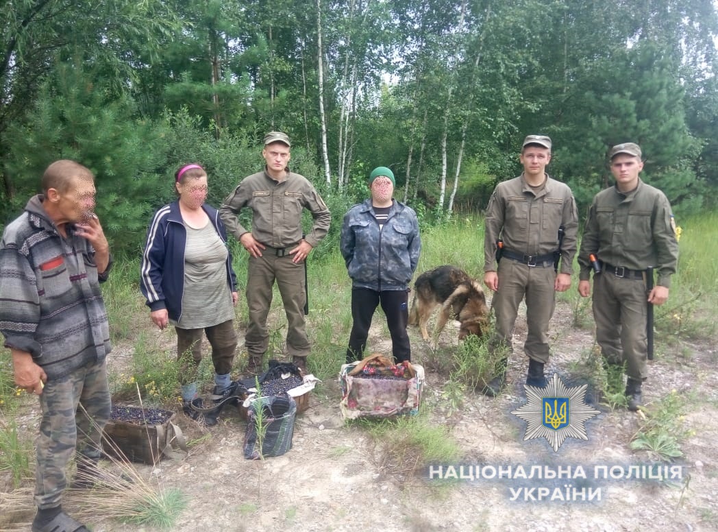 Поліція затримала збирачів чорниць у Чорнобильській зоні