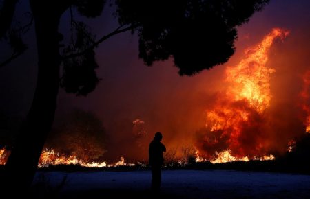 Кількість загиблих від лісових пожеж у Греції зросла до 79