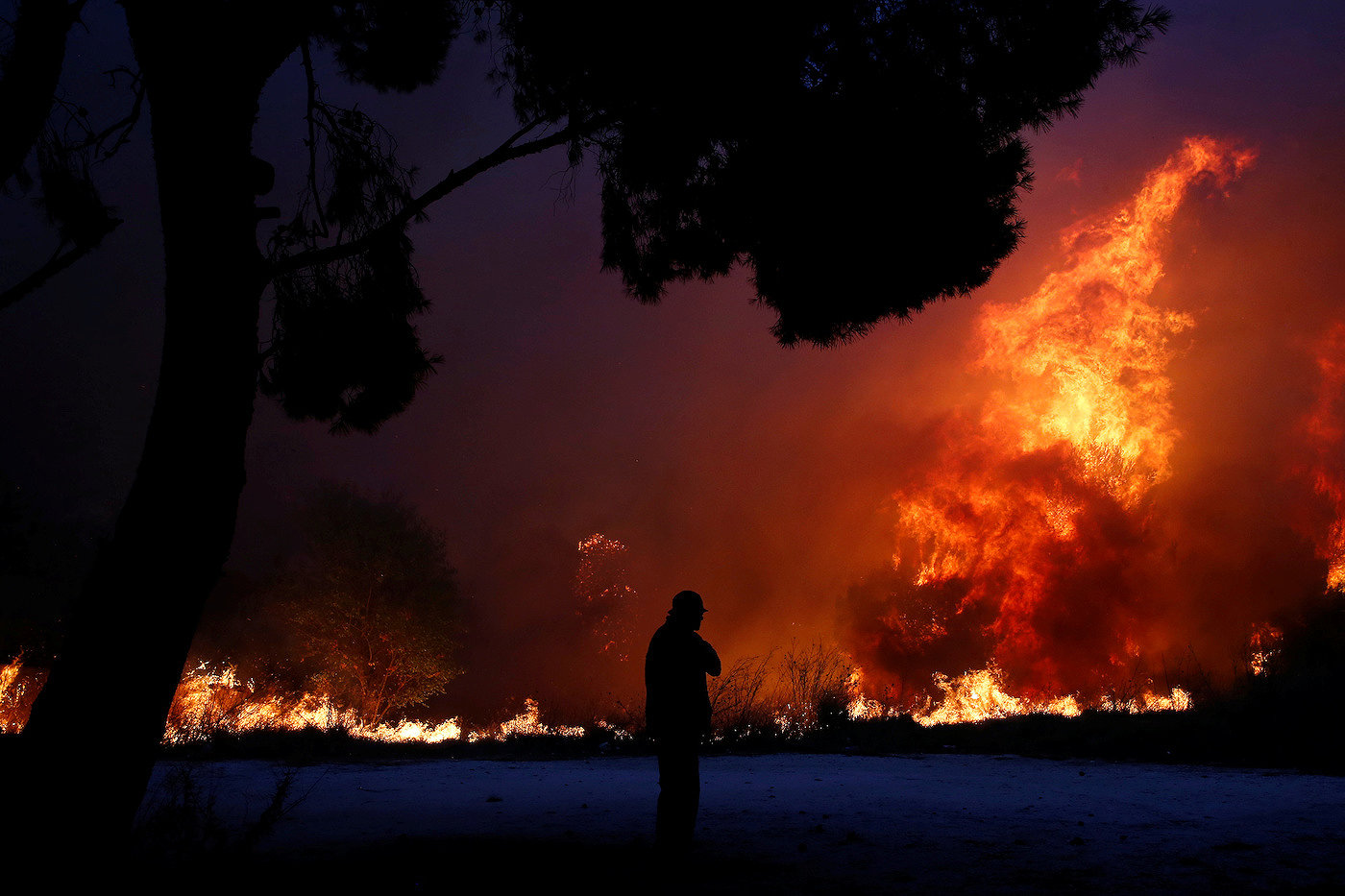 Кількість загиблих від лісових пожеж у Греції зросла до 79