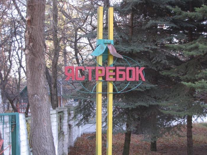 Табір на Донеччині, де отруїлися близько 70 дітей, закрили. Відкрито кримінальне провадження