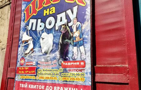 Зоозахисники вимагають перевірки Одеського цирку через неналежні умови утримання ведмедя (ФОТО)