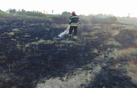 Пожежі на Луганщині: трава та відходи від руди горять на 24 га землі (ФОТО)