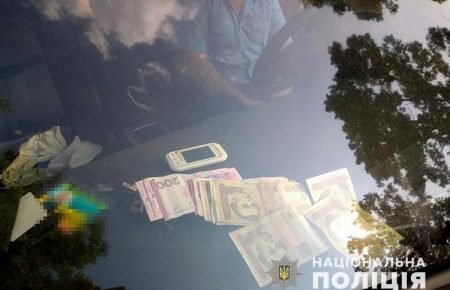 Авто на «єврономерах»: на Львівщині поліція викрила корупційну схему ввезення автівок з Європи (ФОТО)