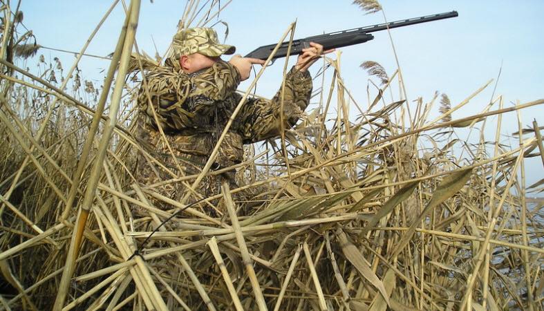 На Луганщині вперше за чотири роки дозволили полювати на птахів