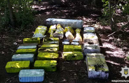 8 кг вибухівки, гранати, гранатомети, димові шашки та 16 ящиків зі зброєю знайшли в лісосмузі на Дніпропетровщині (ФОТО)