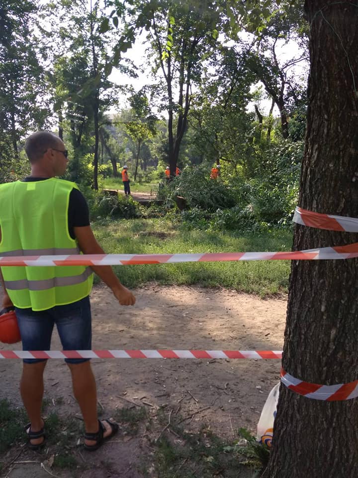 У Запоріжжі спилюють дерева в парку, який активісти захищають від забудови (ВІДЕО)