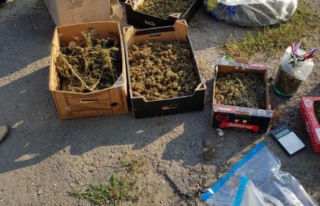 На фермерстві під Ужгородом знайшли сховок марихуани вартістю 39 млн грн (ФОТО, ВІДЕО)