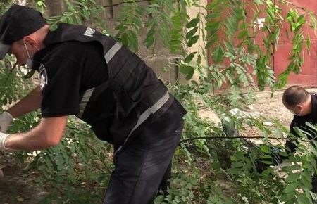 У Києві немовля викинули на узбіччя: поліція відкрила кримінальне провадження