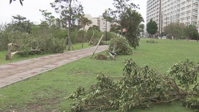 Тайфун у Японії: в країні скасували понад 900 авіарейсів, кілька сотень будинків знеструмлені