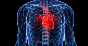 Кожен третій хворий на інфаркт в Україні лікується в європейський спосіб — лікар-кардіолог
