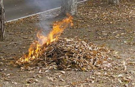 В Україні збільшать штраф за спалення опалого листя