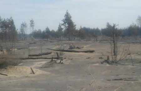 На Луганщині пожежа у «сірій зоні»: горить ліс, знищено кілька будинків в селі Болотенне (ФОТО)