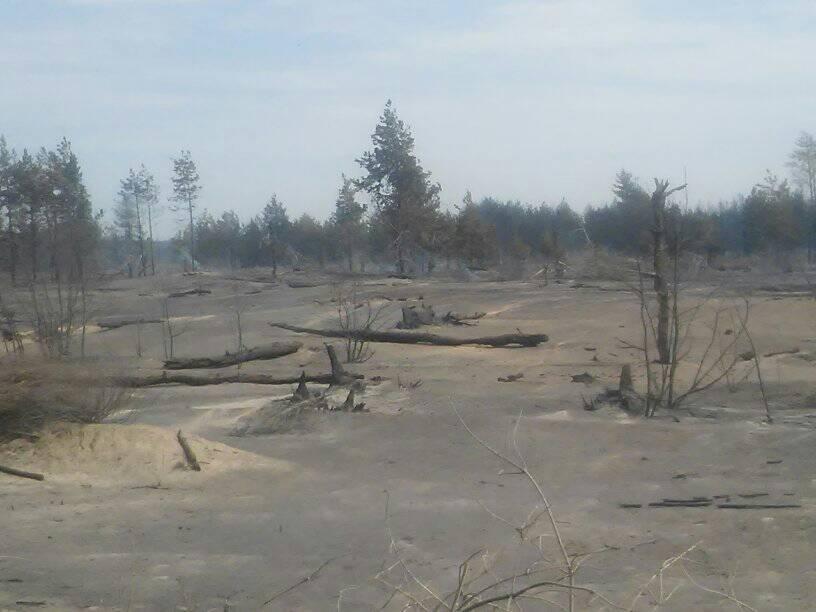 На Луганщині пожежа у «сірій зоні»: горить ліс, знищено кілька будинків в селі Болотенне (ФОТО)