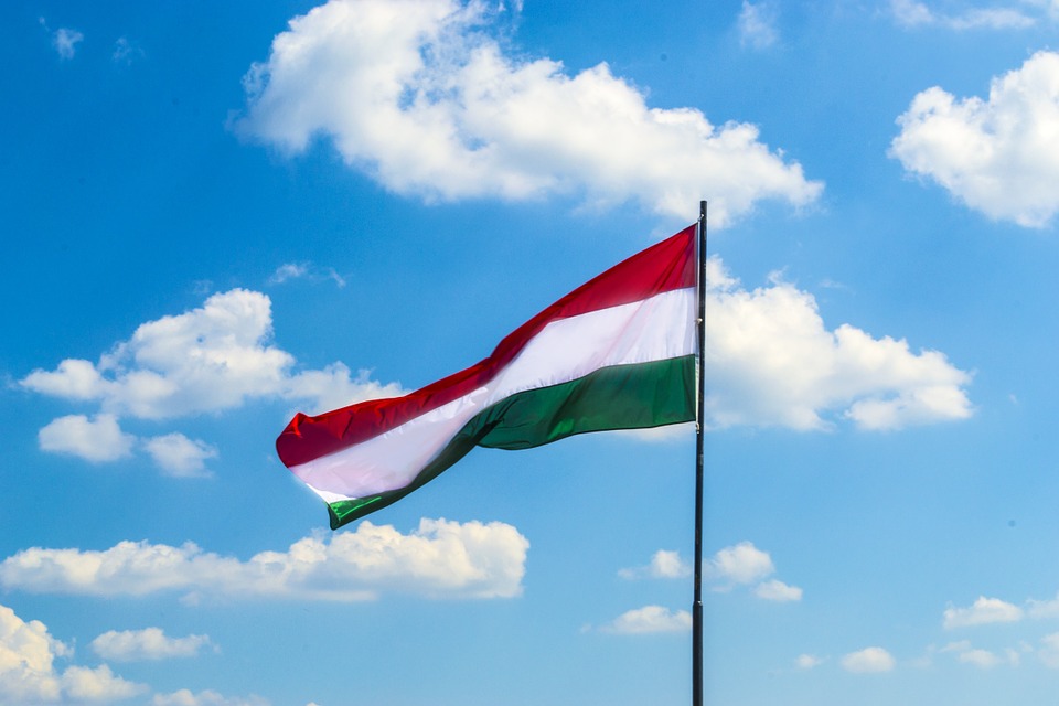 ДПСУ з’ясовує, чи публікував їхній прикордонник відео про угорські паспорти