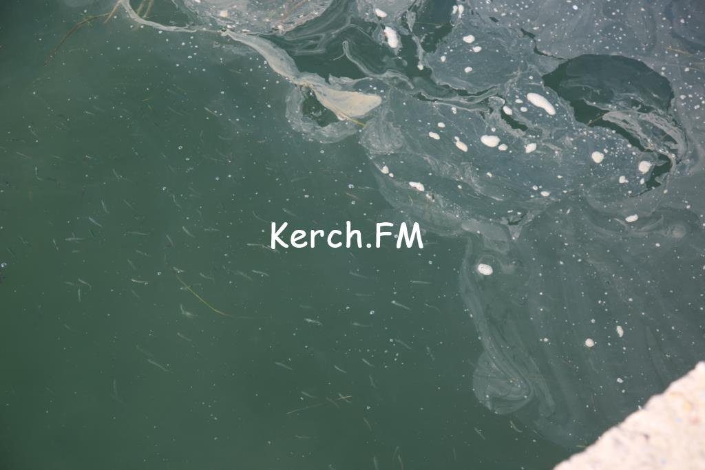 Масляниста пляма на керченському узбережжі