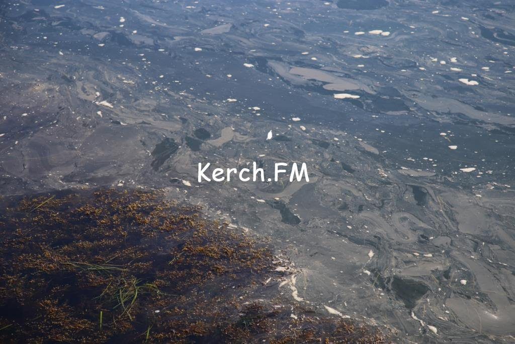 Масляниста пляма на керченському узбережжі