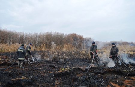На Чернігівщині тиждень горять торфовища