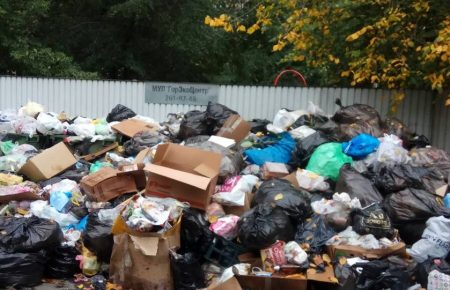 У Челябінську активісти «викинули» себе на смітник, протестуючи проти сміттєвого колапсу