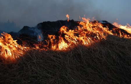 Рятувальники попереджають про пожежну небезпеку в Україні