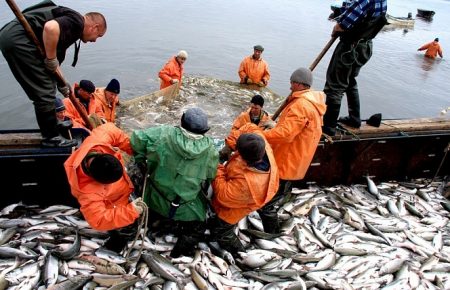 Під Києвом проходить нарада з Росією з приводу розподілу квот на вилов риби в Азовському морі